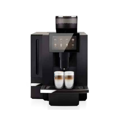 Two Burner Range-With Dhosa Plate