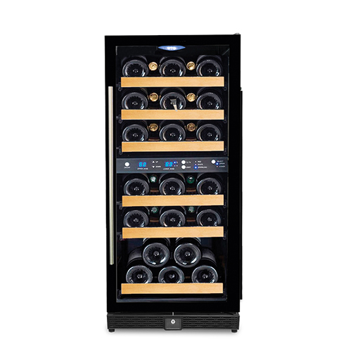 Two Burner Range-With Dhosa Plate