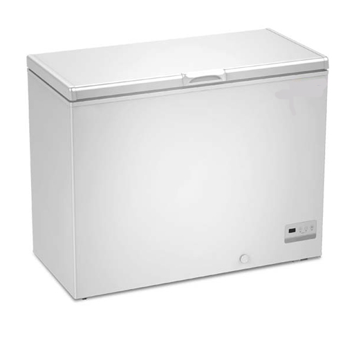 Two Burner Range-With Dhosa Plate