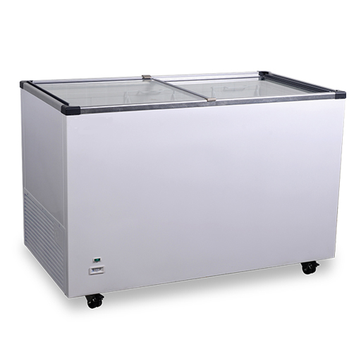 Two Burner Range-With Dhosa Plate