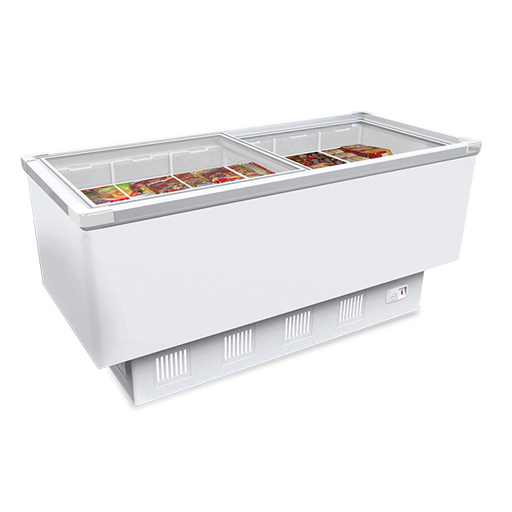 Two Burner Range-With Dhosa Plate