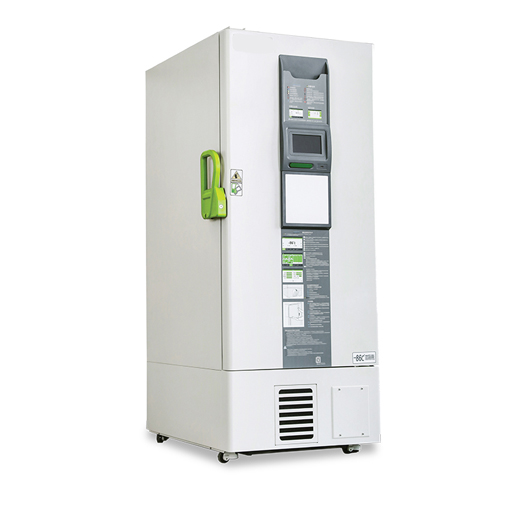 Two Burner Range-With Dhosa Plate